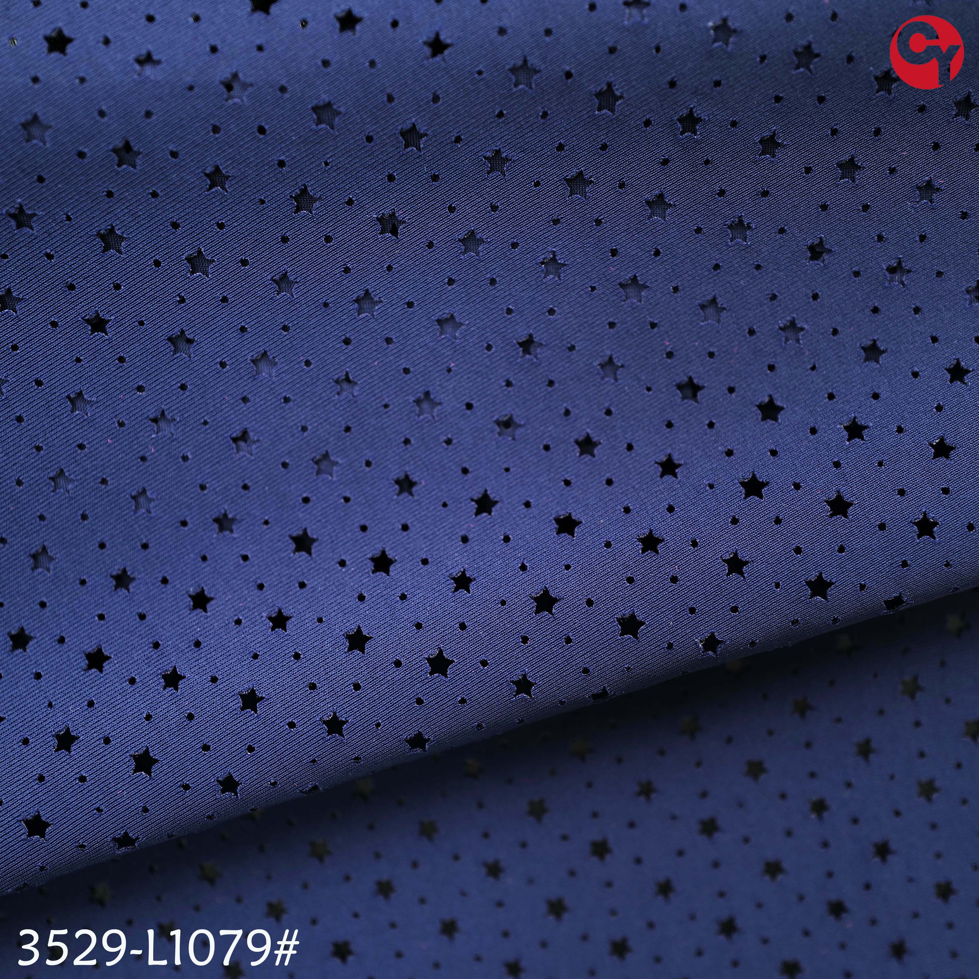 3529-L1079#