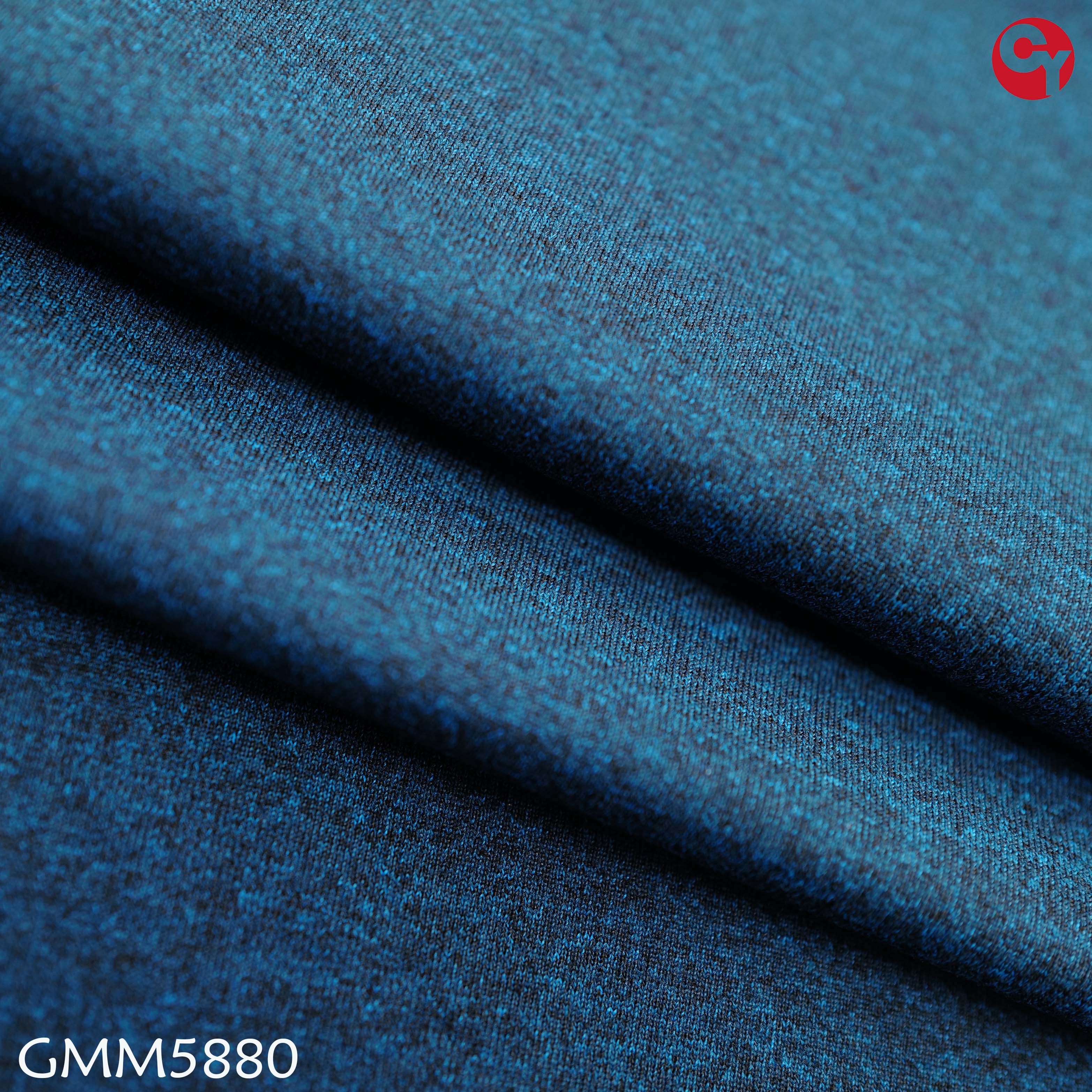GMM5880