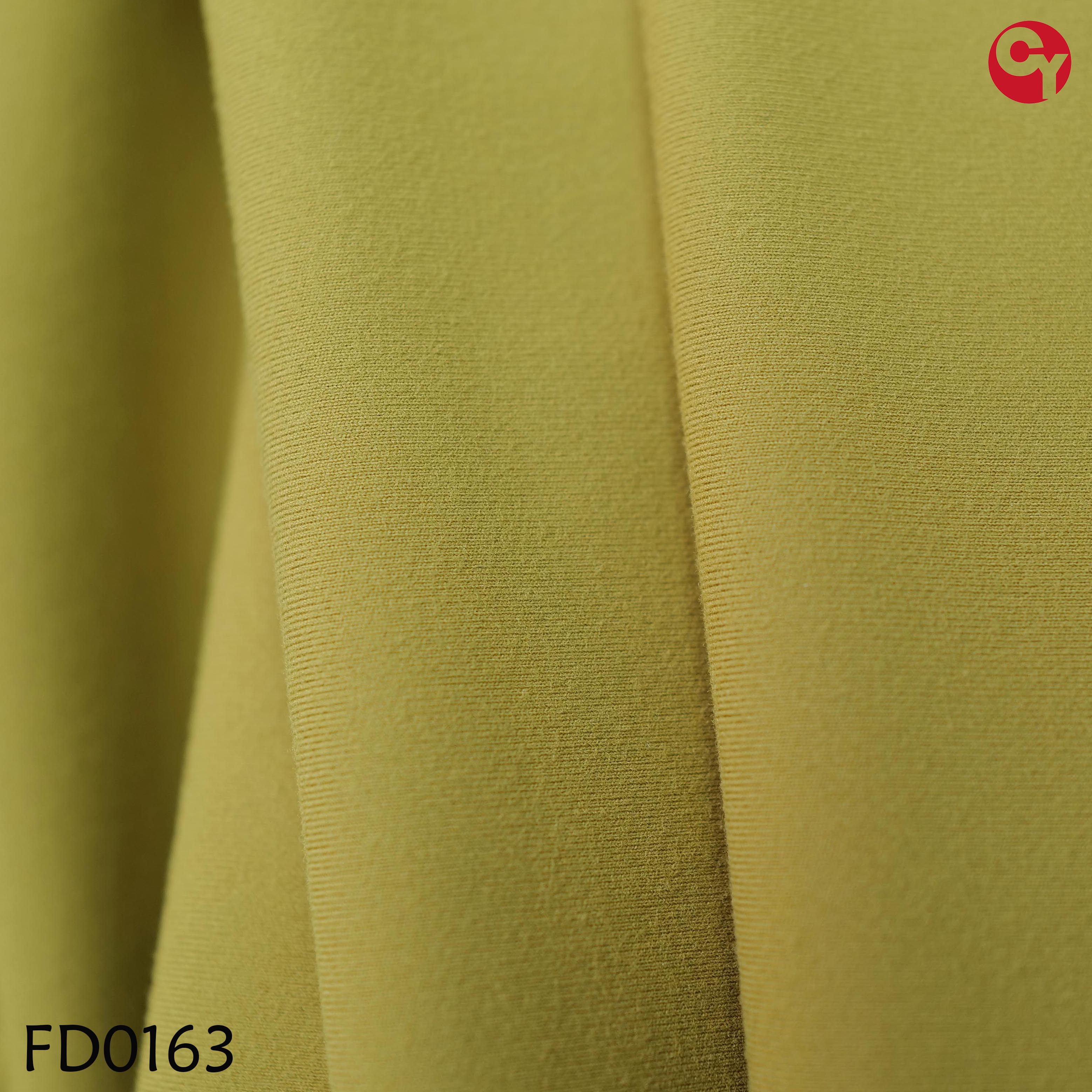 FD0163