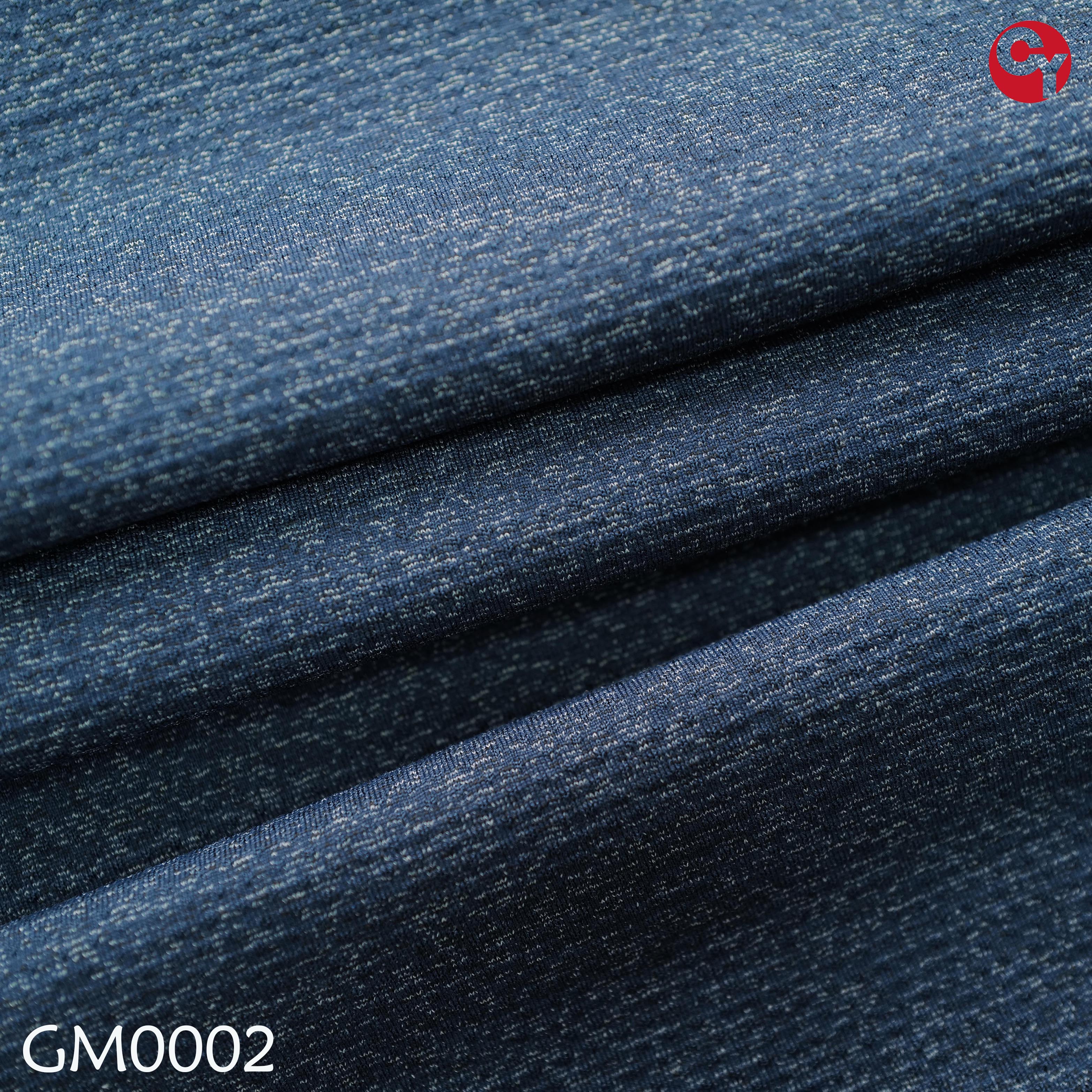 GM0002
