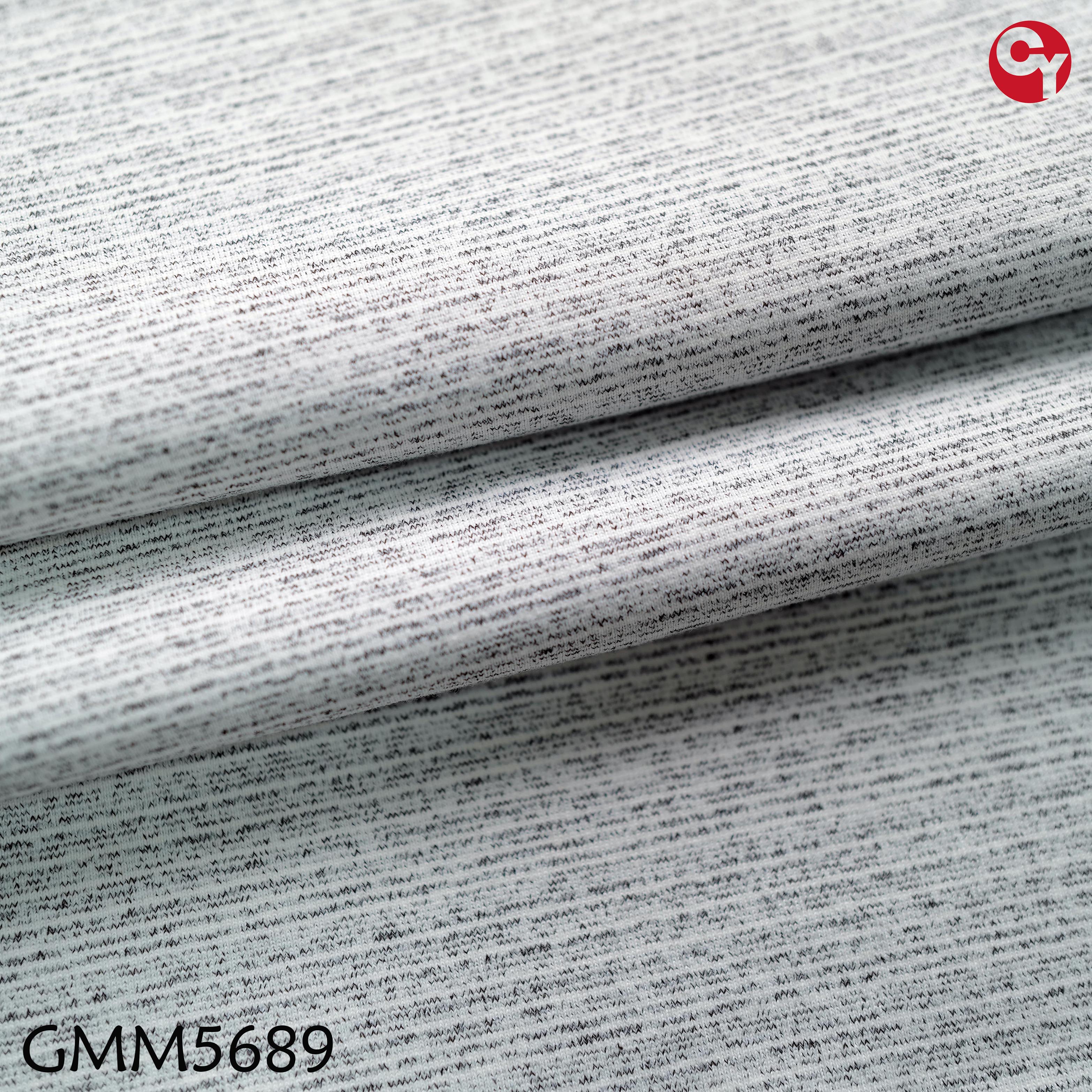 GMM5689