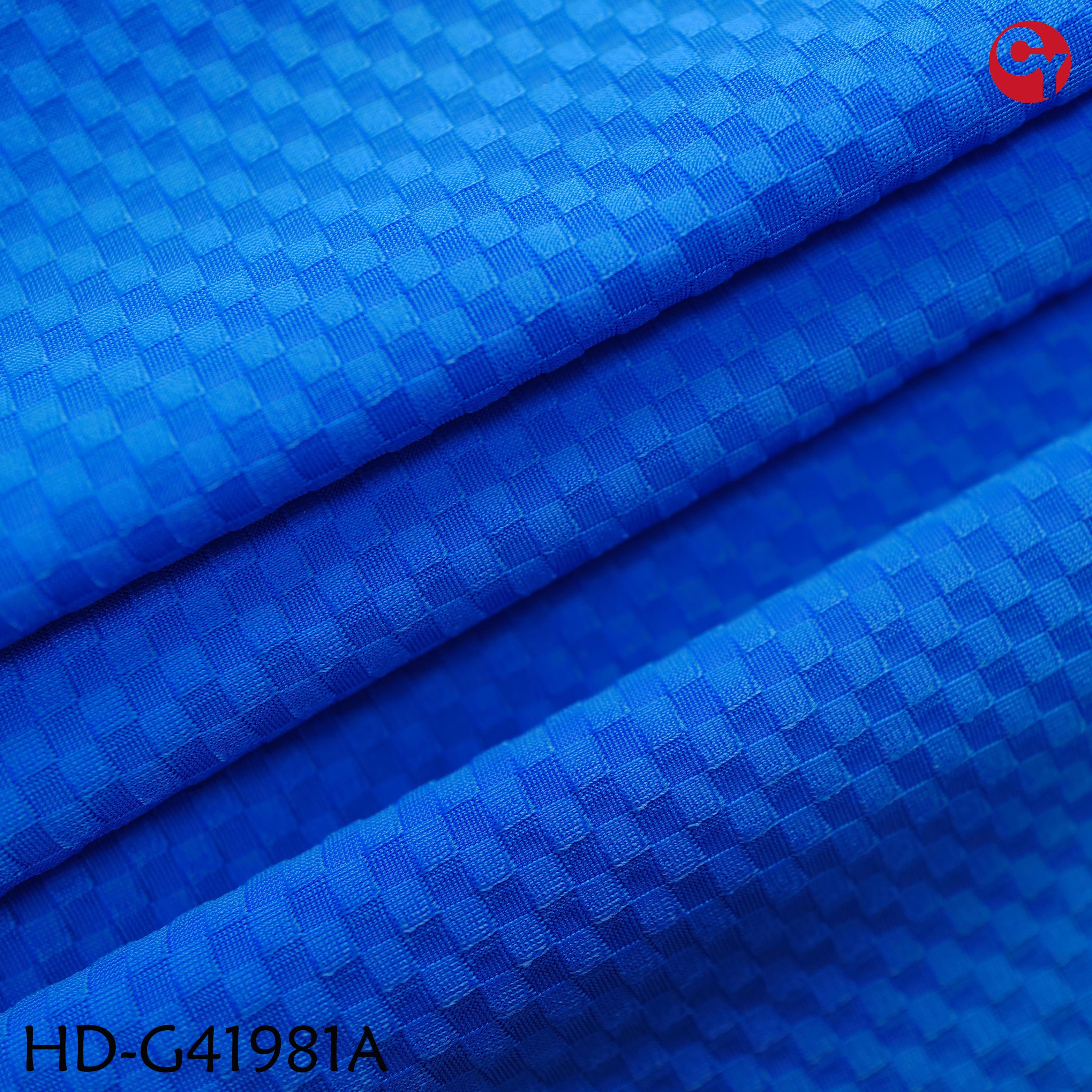 HD-G41981A