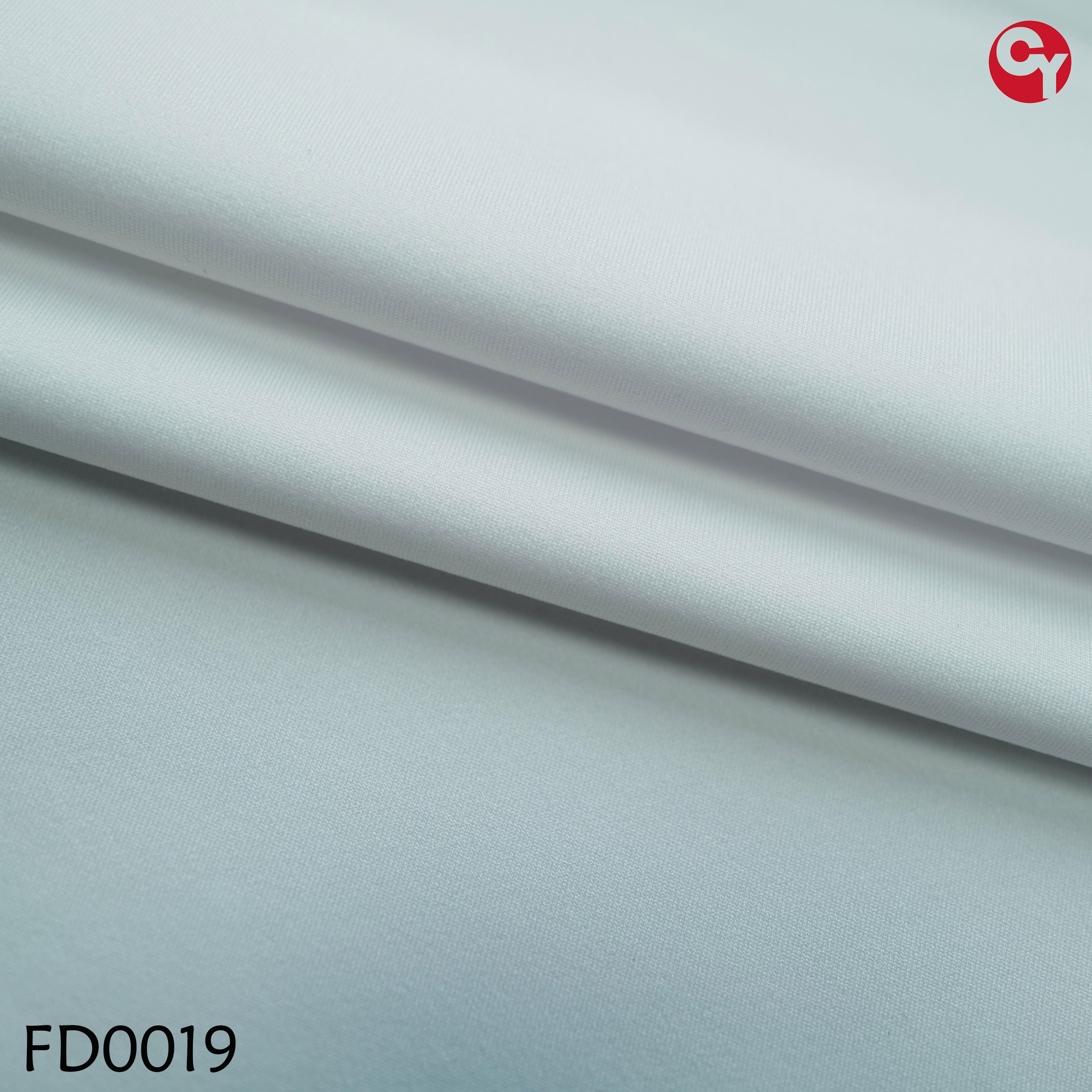 FD0019