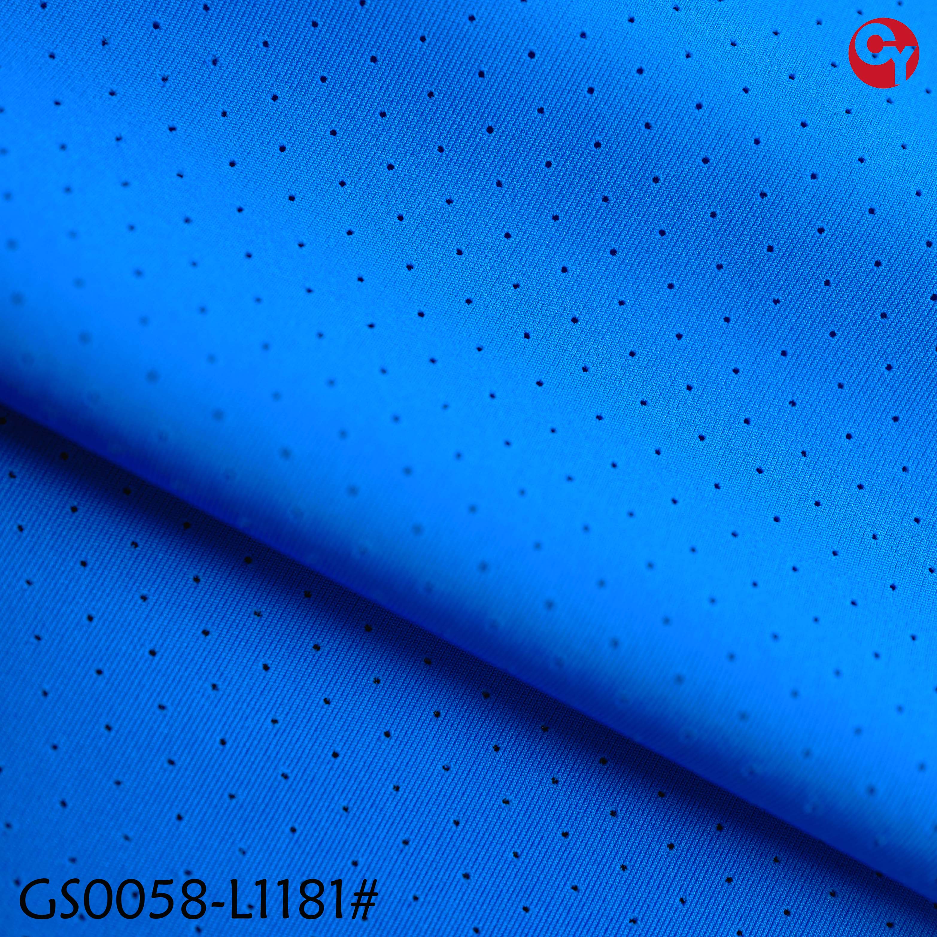 GS0058-L1181#