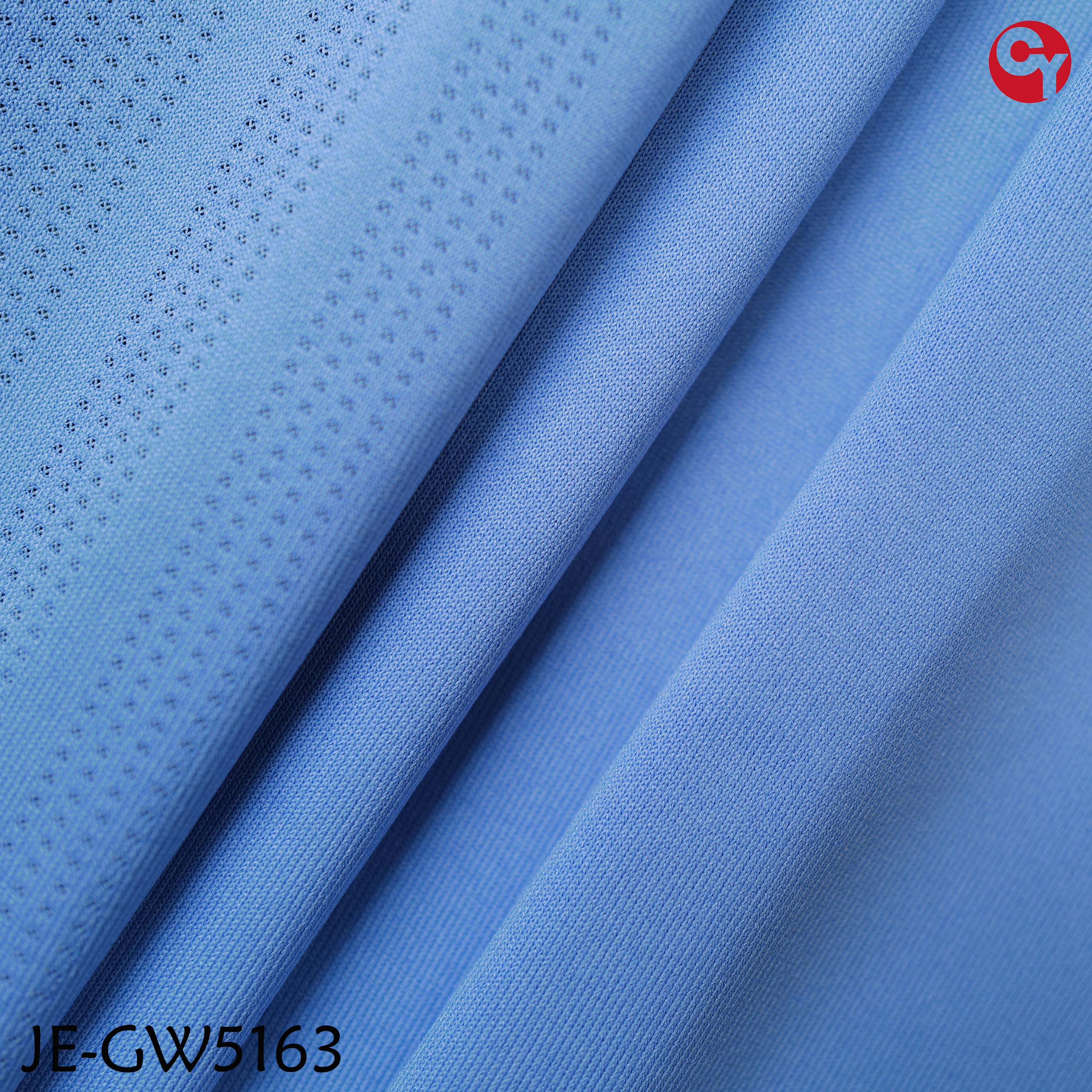 JE-GW5163